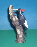Elfenbeinspecht