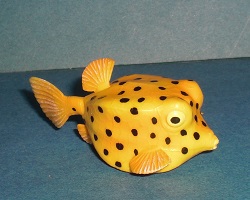 gelbbrauner Kofferfisch