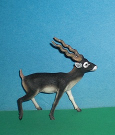 Hirschziegenantilope