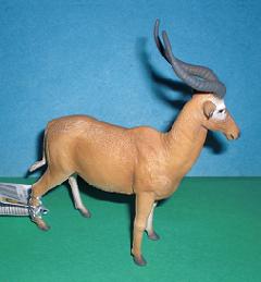 Hunter Antilope
