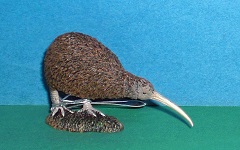 Kiwi