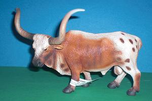 Texas Longhorn