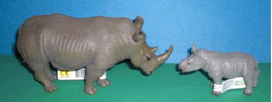 Breitmaulnashorn