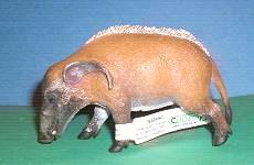 Pinselohrschwein