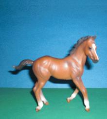 Quarter Horse