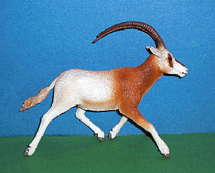 Säbelantilope