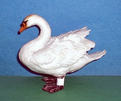 Hcker-Schwan