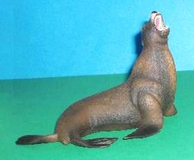 Seelöwe