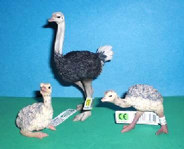 Straussfamilie