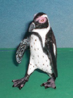 Südafrikanischer Pinguin