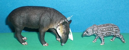bras.Tapir
