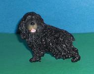 Cocker Spaniel