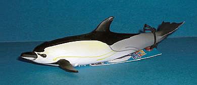 gemeiner Delfin