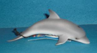 Delfin