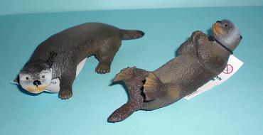 Otter