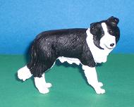 Bordercollie