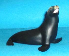 Seelöwe