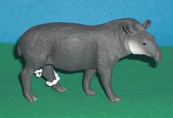 Tapir