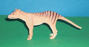 Tasmanischer Tiger