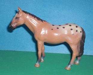 Appaloosa