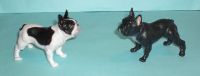 französische Bulldoggen