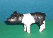 Hällisches Ferkel