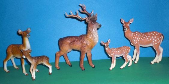 Hirschfamilie