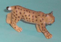Luchs