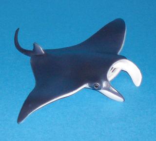 Manta