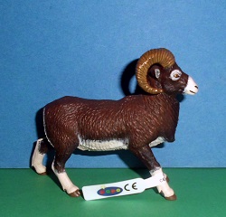 Mufflon