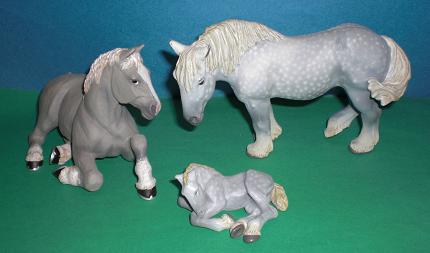 Percheron Stute, Fohlen und Hengst