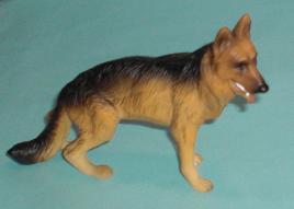 Schäferhund