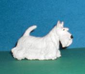 Scotish Terrier