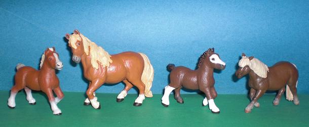 Shetland Ponys