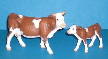 Simmentaler Kühe