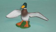 Stockente Erpel
