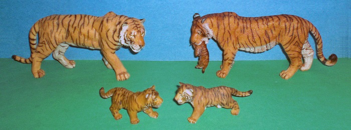 Bengal Tiger