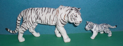 weisser Tiger und Tigerbaby