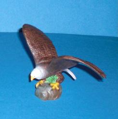 Weisskopfseeadler