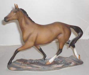 Achal-Tekiner Hengst