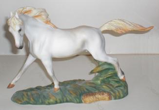 Camargue Hengst