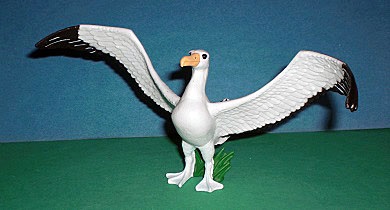 Albatross