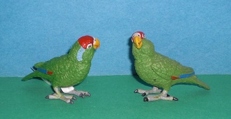Amazonas Papagei