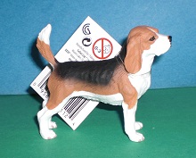 Beagle