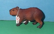 Wasserschwein