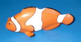 Clownfisch