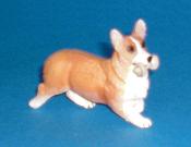 Pembroke Corgi