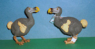 Dodo