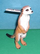 Erdmännchen