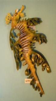 Fetzenfisch